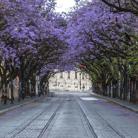 Hermitage Castelo - Casa Chafariz * ליסבון